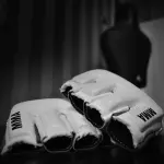 Imagen ilustrativa de unos guantes usados en artes marciales mixtas - Pixabay