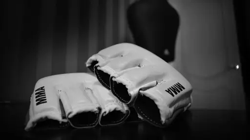 Imagen ilustrativa de unos guantes usados en artes marciales mixtas - Pixabay
