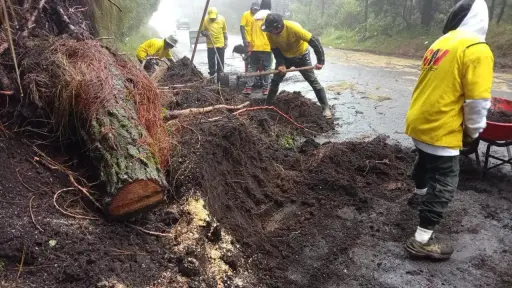 Trabajadores de Covial han atendido derrumbes, caías de árboles y deslizamientos, entre otros. ,Covial.