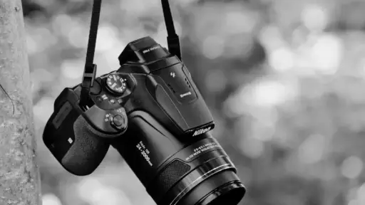 El informe recordó dos asesinatos recientes en contra de periodistas. Imagen con fines ilustrativos. ,Pixabay