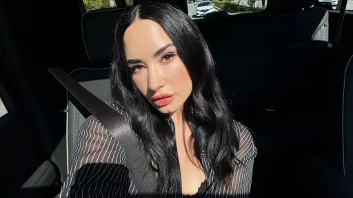 Demi Lovato ,Redes sociales