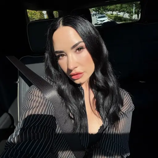 Demi Lovato ,Redes sociales